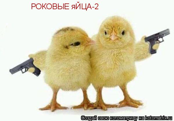 РОКОВЫЕ яЙЦА-2... Котоматрица: РОКОВЫЕ яЙЦА-2