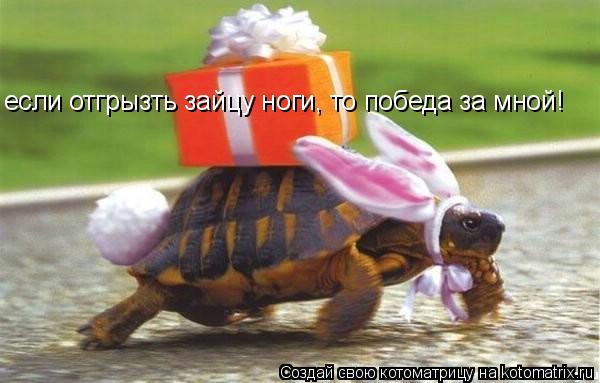 если отгрызть зайцу ноги, то победа за мной!... Котоматрица: если отгрызть зайцу ноги, то победа за мной!