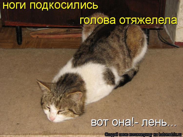 Котоматрица: ноги подкосились голова отяжелела вот она!- лень...