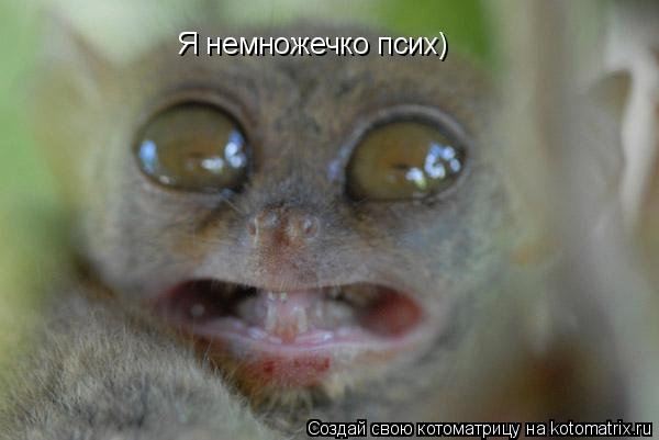 Я немножечко псих)... Котоматрица: Я немножечко псих)