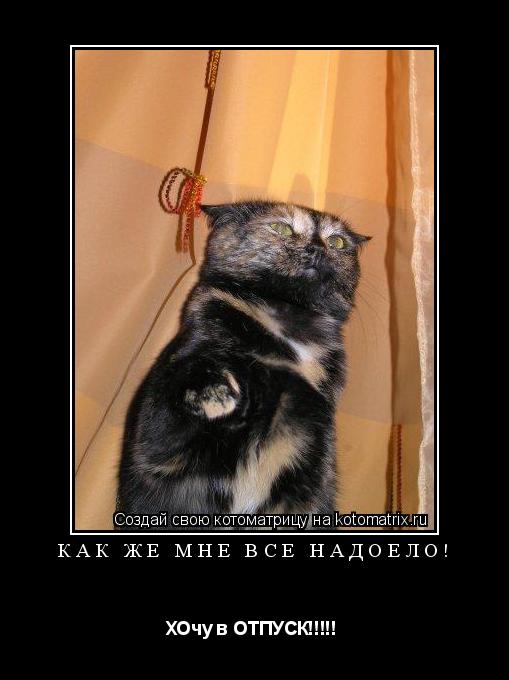 как же мне все надоело! ХОчу в ОТПУСК!!!!! ... Котоматрица: как же мне все надоело! ХОчу в ОТПУСК!!!!!