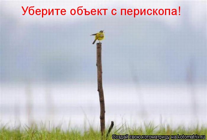 Уберите объект с перископа!... Котоматрица: Уберите объект с перископа!