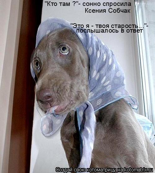 "Кто там ?"- сонно спросила Ксения Собчак "Это я - твоя старость..."- послышалось в ответ... Котоматрица: "Кто там ?"- сонно спросила Ксения Собчак "Это я - твоя старость..."- послышалось в ответ