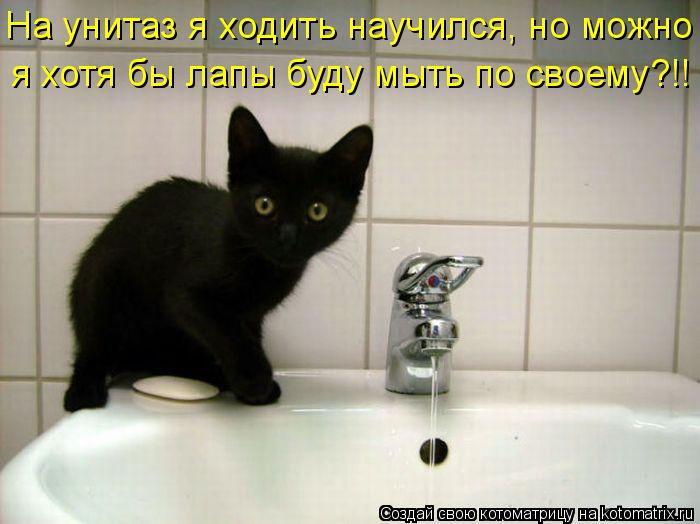 На унитаз я ходить научился, но можно я хотя бы лапы буду мыть по своему?!!... Котоматрица: На унитаз я ходить научился, но можно я хотя бы лапы буду мыть по своему?!!