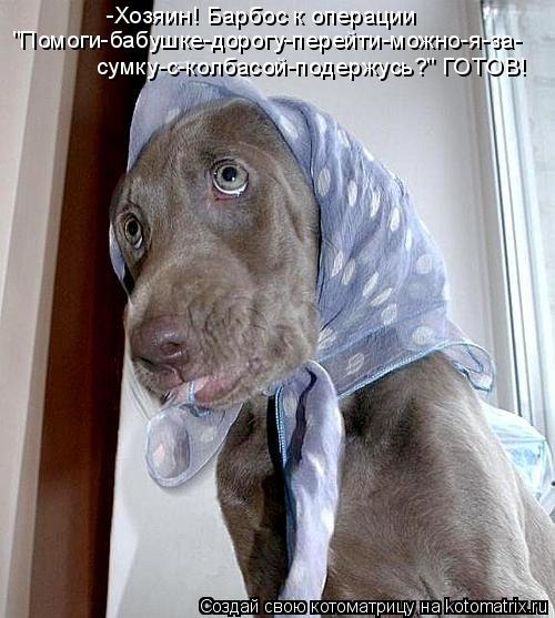 "Помоги-бабушке-дорогу-перейти-можно-я-за- -Хозяин! Барбос к операции сумку-с-колбасой-подержусь?" ГО... Котоматрица: "Помоги-бабушке-дорогу-перейти-можно-я-за- -Хозяин! Барбос к операции сумку-с-колбасой-подержусь?" ГОТОВ!
