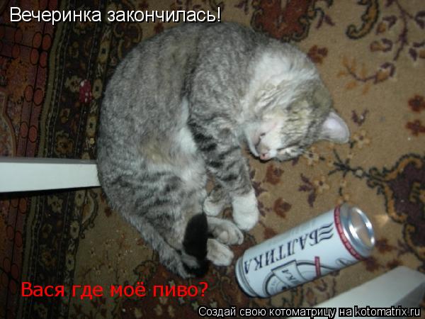 Вечеринка закончилась! Вася где моё пиво?... Котоматрица: Вечеринка закончилась! Вася где моё пиво?