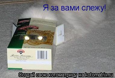 Я за вами слежу!... Котоматрица: Я за вами слежу!