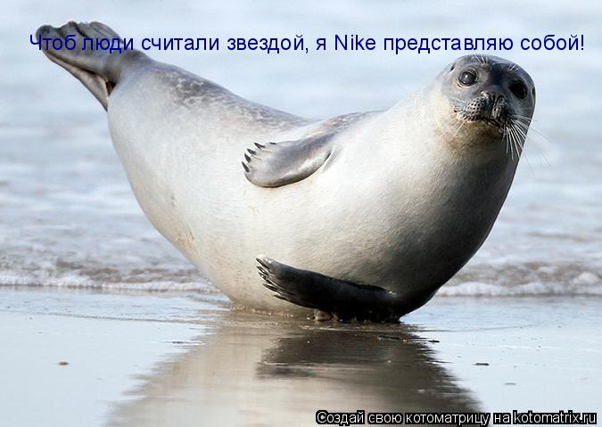 Чтоб люди считали звездой, я Nike представляю собой!... Котоматрица: Чтоб люди считали звездой, я Nike представляю собой!