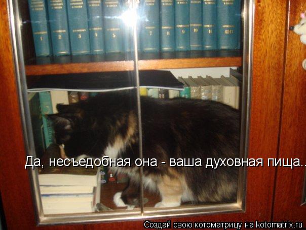 Да, несъедобная она - ваша духовная пища...... Котоматрица: Да, несъедобная она - ваша духовная пища...