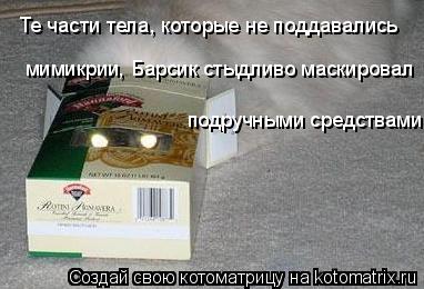 Те части тела, которые не поддавались мимикрии, Барсик стыдливо маскировал подручными средствами... Котоматрица: Те части тела, которые не поддавались мимикрии, Барсик стыдливо маскировал подручными средствами