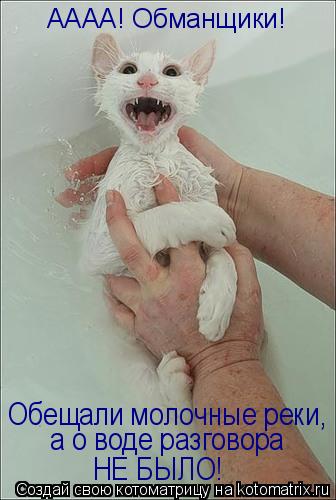 АААА! Обманщики! Обещали молочные реки, а о воде разговора НЕ БЫЛО!... Котоматрица: АААА! Обманщики! Обещали молочные реки, а о воде разговора НЕ БЫЛО!