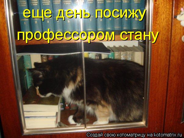 еще день посижу профессором стану... Котоматрица: еще день посижу профессором стану