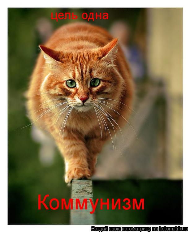 цель одна Коммунизм... Котоматрица: цель одна Коммунизм