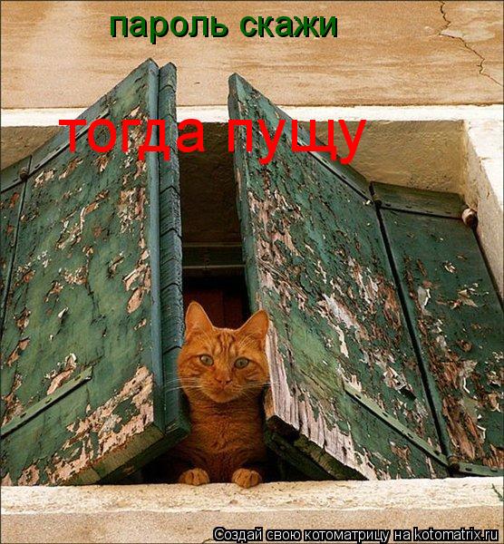 пароль скажи тогда пущу... Котоматрица: пароль скажи тогда пущу