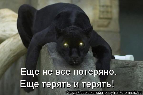 Еще не все потеряно. Еще терять и терять!... Котоматрица: Еще не все потеряно. Еще терять и терять!