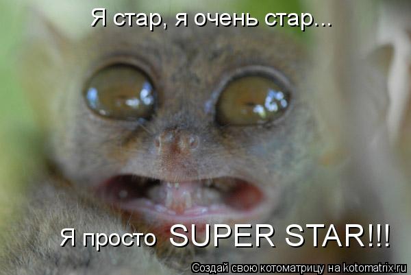 Я стар, я очень стар... Я просто SUPER STAR!!!... Котоматрица: Я стар, я очень стар... Я просто SUPER STAR!!!