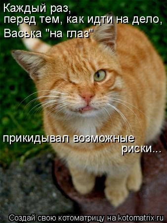 Каждый раз, перед тем, как идти на дело, Васька "на глаз" прикидывал возможные риски...... Котоматрица: Каждый раз, перед тем, как идти на дело, Васька "на глаз" прикидывал возможные риски...