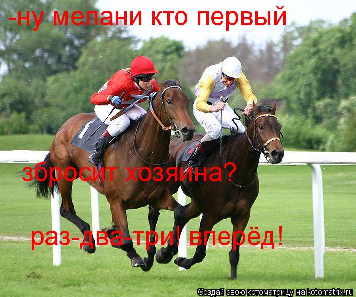 -ну мелани кто первый збросит хозяина? раз-два-три! вперёд!... Котоматрица: -ну мелани кто первый збросит хозяина? раз-два-три! вперёд!