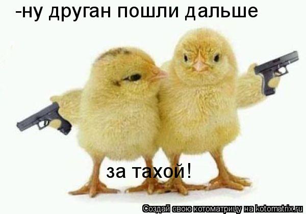 Котоматрица: -ну друган пошли дальше  за тахой!