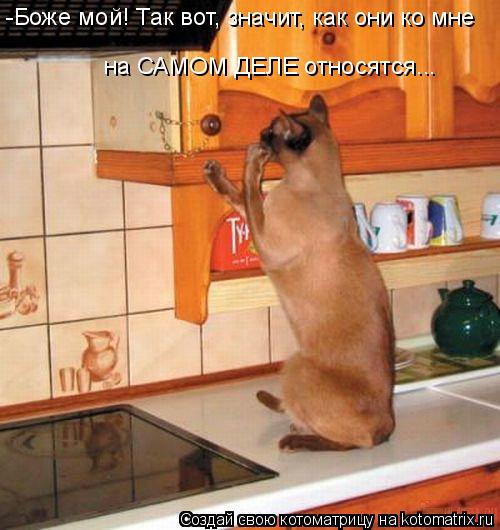 -Боже мой! Так вот, значит, как они ко мне на САМОМ ДЕЛЕ относятся...... Котоматрица: -Боже мой! Так вот, значит, как они ко мне на САМОМ ДЕЛЕ относятся...