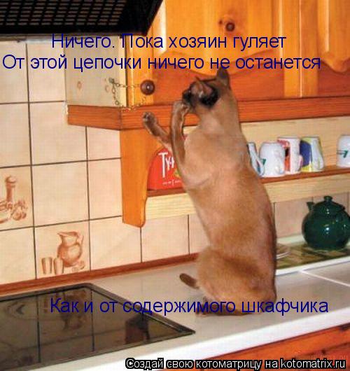 Котоматрица: Ничего. Пока хозяин гуляет От этой цепочки ничего не останется Как и от содержимого шкафчика