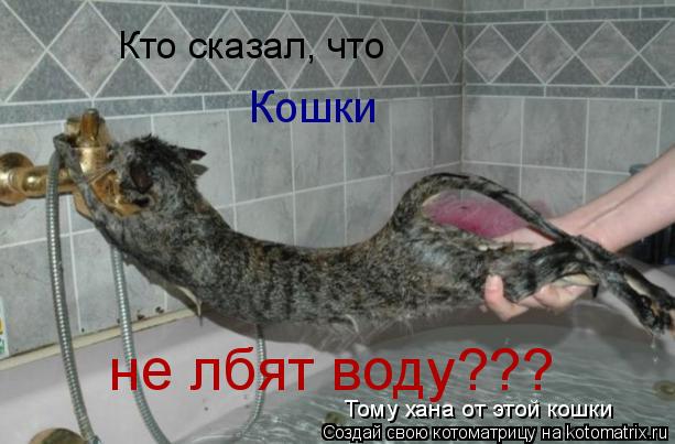 Котоматрица: Кто сказал, что Кошки не лбят воду??? Тому хана от этой кошки