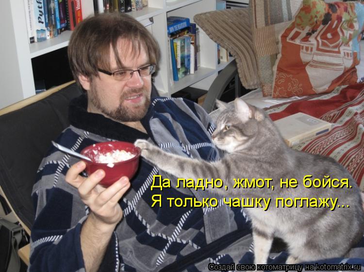 Котоматрица: Да ладно, жмот, не бойся. Я только чашку поглажу...