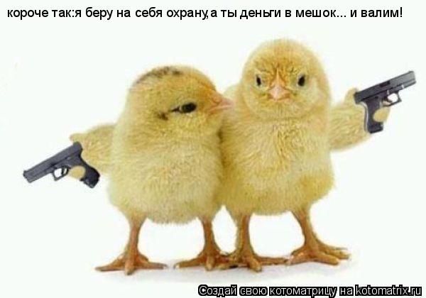 Котоматрица: короче так:я беру на себя охрану,а ты деньги в мешок... и валим!