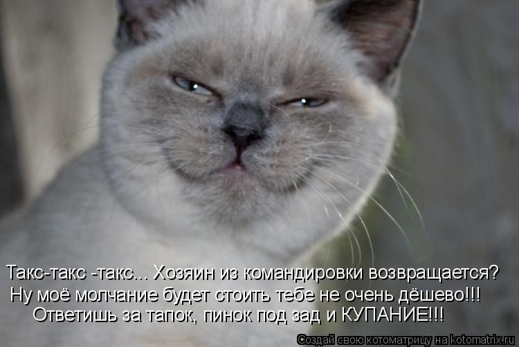 Такс-такс -такс... Хозяин из командировки возвращается? Ну моё молчание будет стоить тебе не очень дё... Котоматрица: Такс-такс -такс... Хозяин из командировки возвращается? Ну моё молчание будет стоить тебе не очень дёшево!!! Ответишь за тапок, пинок под зад и