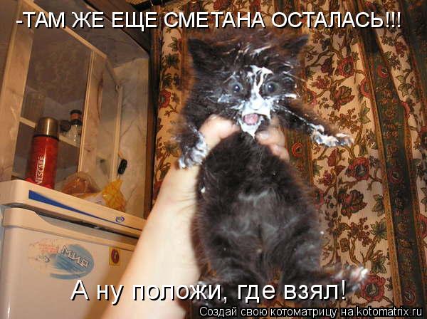 -ТАМ ЖЕ ЕЩЕ СМЕТАНА ОСТАЛАСЬ!!! А ну положи, где взял!... Котоматрица: -ТАМ ЖЕ ЕЩЕ СМЕТАНА ОСТАЛАСЬ!!! А ну положи, где взял!