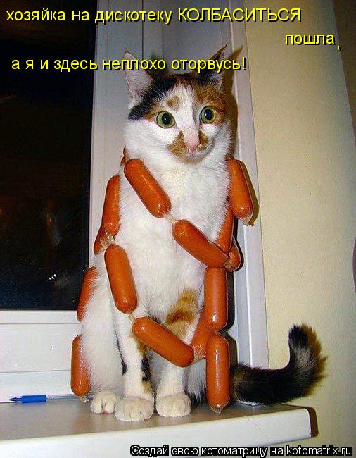 хозяйка на дискотеку КОЛБАСИТЬСЯ пошла , а я и здесь неплохо оторвусь!... Котоматрица: хозяйка на дискотеку КОЛБАСИТЬСЯ пошла , а я и здесь неплохо оторвусь!