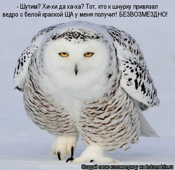ведро с белой краской ЩА у меня получит! БЕЗВОЗМЕЗДНО! - Шутим? Хи-хи да ха-ха? Тот, кто к шнурку при... Котоматрица: ведро с белой краской ЩА у меня получит! БЕЗВОЗМЕЗДНО! - Шутим? Хи-хи да ха-ха? Тот, кто к шнурку привязал