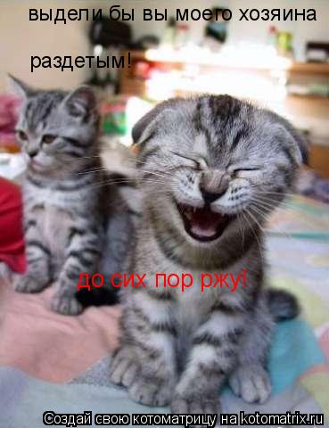 выдели бы вы моего хозяина раздетым! до сих пор ржу!... Котоматрица: выдели бы вы моего хозяина раздетым! до сих пор ржу!