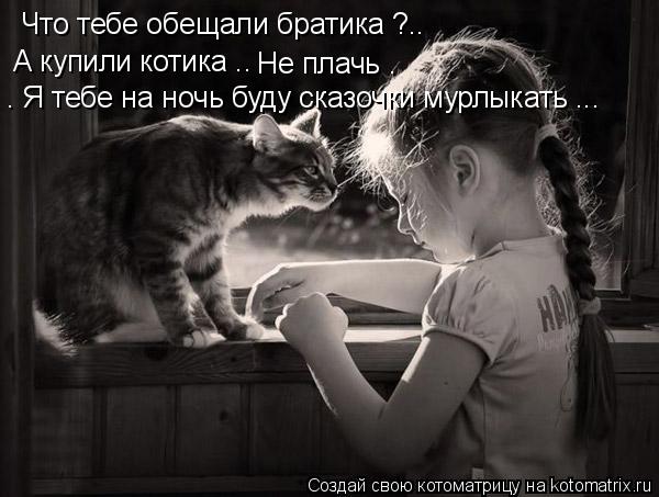 Что тебе обещали братика ?.. А купили котика .. . Я тебе на ночь буду сказочки мурлыкать ... Не плачь... Котоматрица: Что тебе обещали братика ?.. А купили котика .. . Я тебе на ночь буду сказочки мурлыкать ... Не плачь .