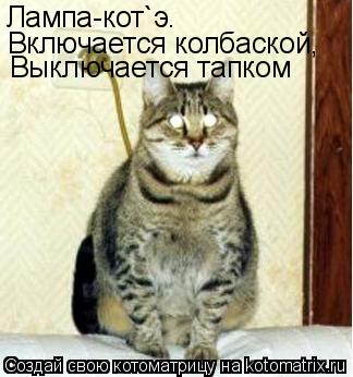 Лампа-кот`э. Включается колбаской, Выключается тапком... Котоматрица: Лампа-кот`э. Включается колбаской, Выключается тапком