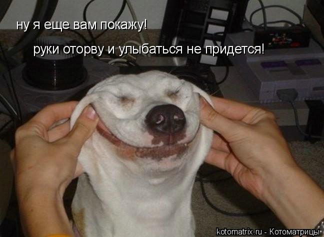 ну я еще вам покажу! руки оторву и улыбаться не придется!... Котоматрица: ну я еще вам покажу! руки оторву и улыбаться не придется!