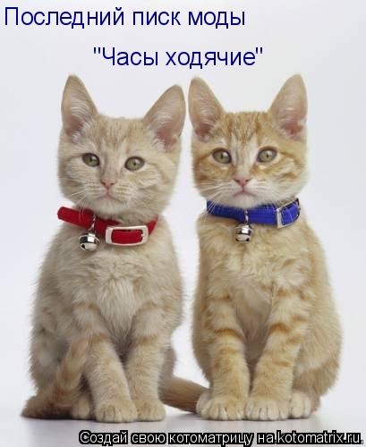 Последний писк моды "Часы ходячие"... Котоматрица: Последний писк моды "Часы ходячие"