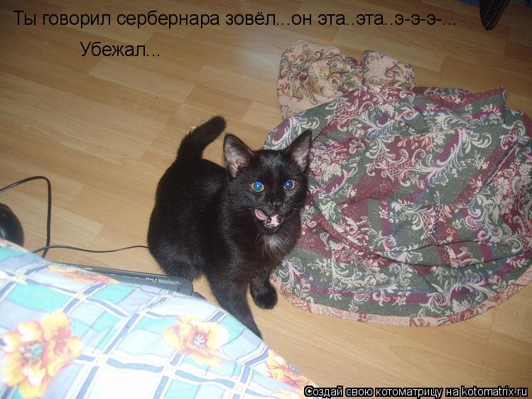 Ты говорил сербернара зовёл...он эта..эта..э-э-э-... Убежал...... Котоматрица: Ты говорил сербернара зовёл...он эта..эта..э-э-э-... Убежал...