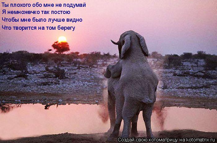 Ты плохого обо мне не подумай Я немножечко так постою Чтобы мне было лучше видно Что творится на том ... Котоматрица: Ты плохого обо мне не подумай Я немножечко так постою Чтобы мне было лучше видно Что творится на том берегу
