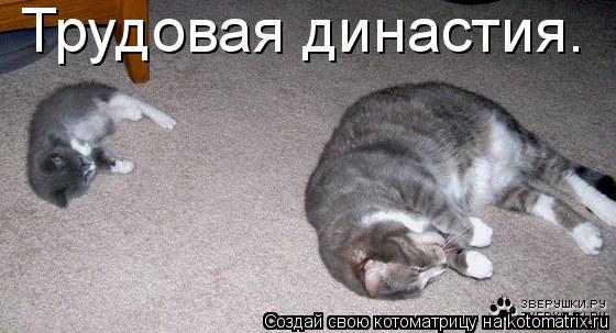 Трудовая династия.... Котоматрица: Трудовая династия.