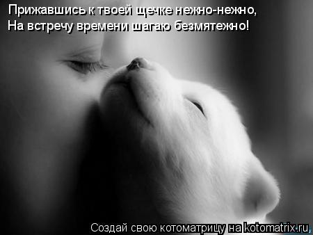 Прижавшись к твоей щечке нежно-нежно, На встречу времени шагаю безмятежно!... Котоматрица: Прижавшись к твоей щечке нежно-нежно, На встречу времени шагаю безмятежно!