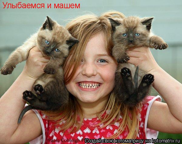 Улыбаемся и машем... Котоматрица: Улыбаемся и машем