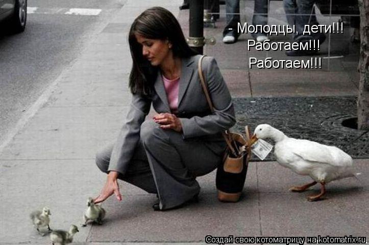 - Молодцы, дети!!! Работаем!!! Работаем!!!... Котоматрица: - Молодцы, дети!!! Работаем!!! Работаем!!!