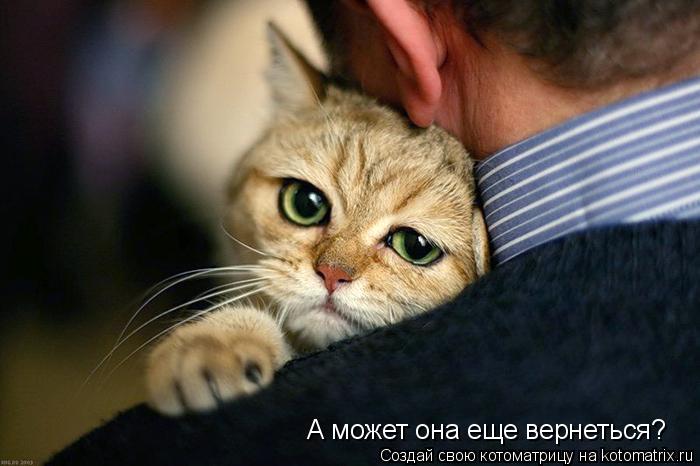 А может она еще вернеться?... Котоматрица: А может она еще вернеться?