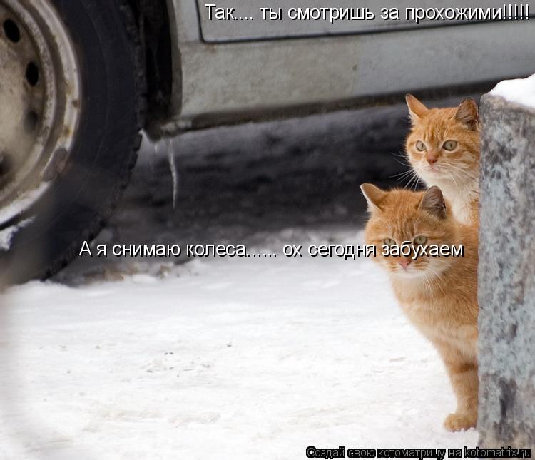 Так.... ты смотришь за прохожими!!!!! А я пизжю колеса А я снимаю колеса...... ох сегодня забухаем... Котоматрица: Так.... ты смотришь за прохожими!!!!! А я пизжю колеса А я снимаю колеса...... ох сегодня забухаем