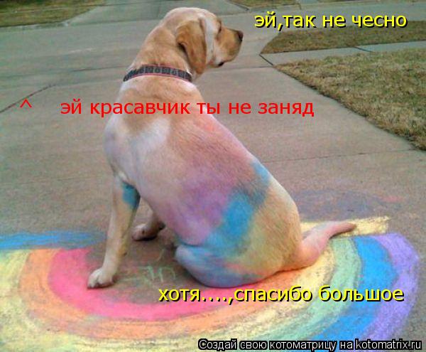 эй,так не чесно хотя....,спасибо большое ^ эй красавчик ты не заняд... Котоматрица: эй,так не чесно хотя....,спасибо большое ^ эй красавчик ты не заняд