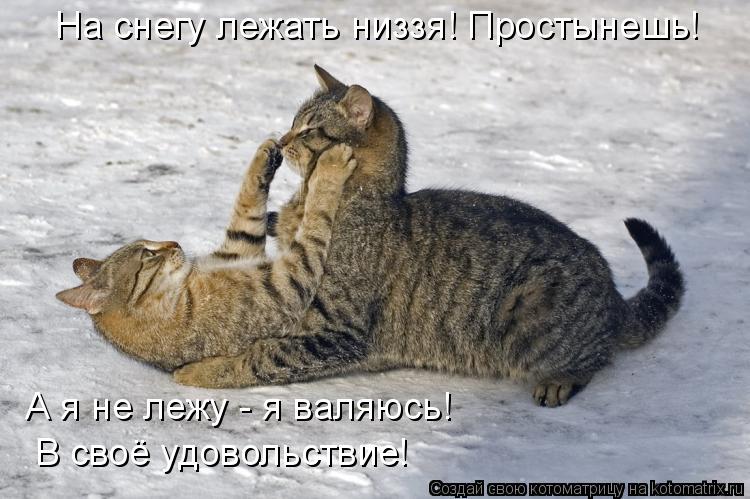 Котоматрица: На снегу лежать низзя! Простынешь! А я не лежу - я валяюсь!  В своё удовольствие!