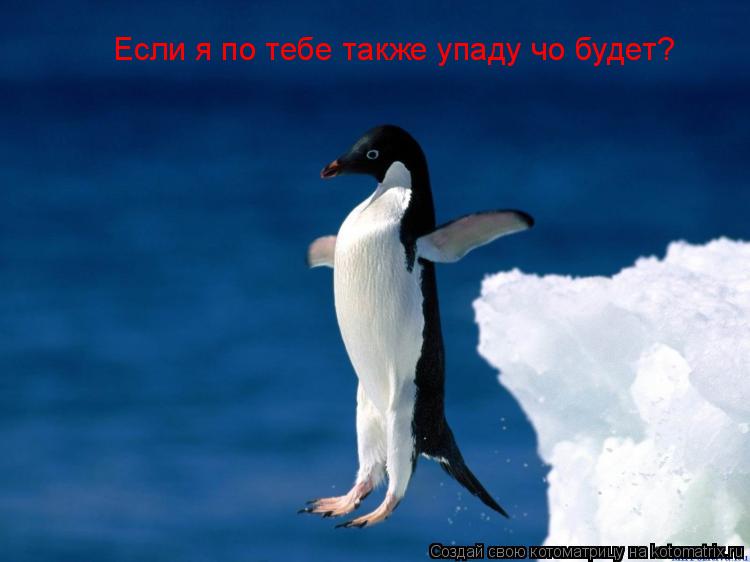 Если я по тебе также упаду чо будет?... Котоматрица: Если я по тебе также упаду чо будет?