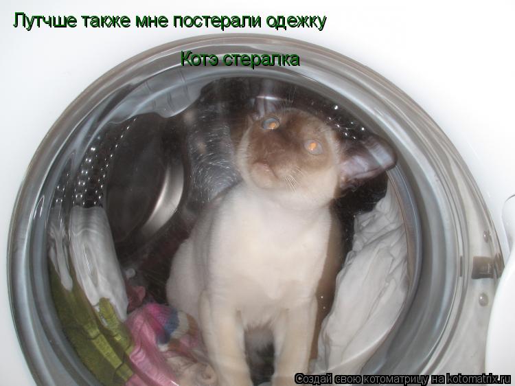 Лутчше также мне постерали одежку Котэ стералка... Котоматрица: Лутчше также мне постерали одежку Котэ стералка