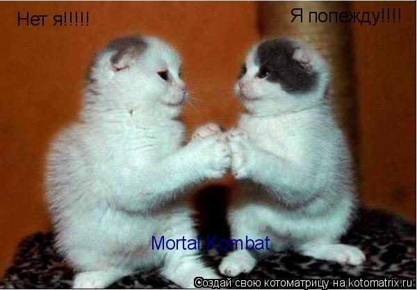 Я попежду!!!! Нет я!!!!! Mortal Kombat... Котоматрица: Я попежду!!!! Нет я!!!!! Mortal Kombat